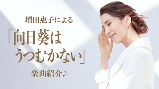 増田惠子による「向日葵はうつむかない」楽曲紹介♪