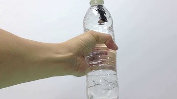 Cartesian Diver