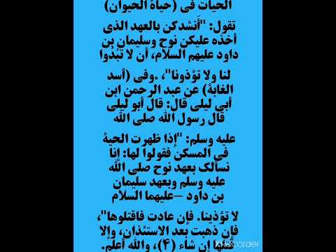 نقي قلبك نور الإيمان كتاب الله النبي صل الله عليه وآله وصحبه وسلم ماذا نفعل مع الحيات في البيت