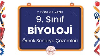 9. Sınıf Biyoloji 2. Dönem 1. Yazılı Örnek Senaryo Çözümleri