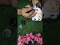 DIY wallputty planter #shortsfeed #youtubeshorts #shorts