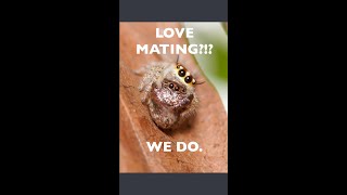 Manage Empty Rate With Flashmate