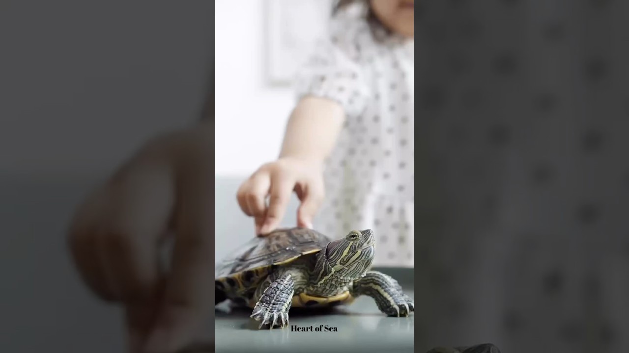 Turtles Breathe Through Their Butts?!