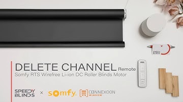Somfy Battery Roller – Delete Channel Using Remote | Somfy Wirefree RTS Li-ion DC Blinds Motor