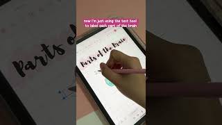 Study with me using Freenotes