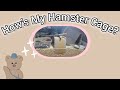 How's My Hamster's Cage? 🐹