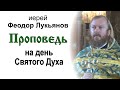 Проповедь на день Святого Духа (2022.06.13). Иерей Феодор Лукьянов