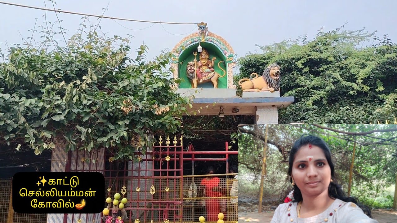 ✨காட்டு செல்லியம்மன் கோவில் vlog 
