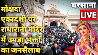 बरसाना राधारानी मोक्षदा एकादशी दर्शन || barsana radharani temple live || ekadashi darshan ||