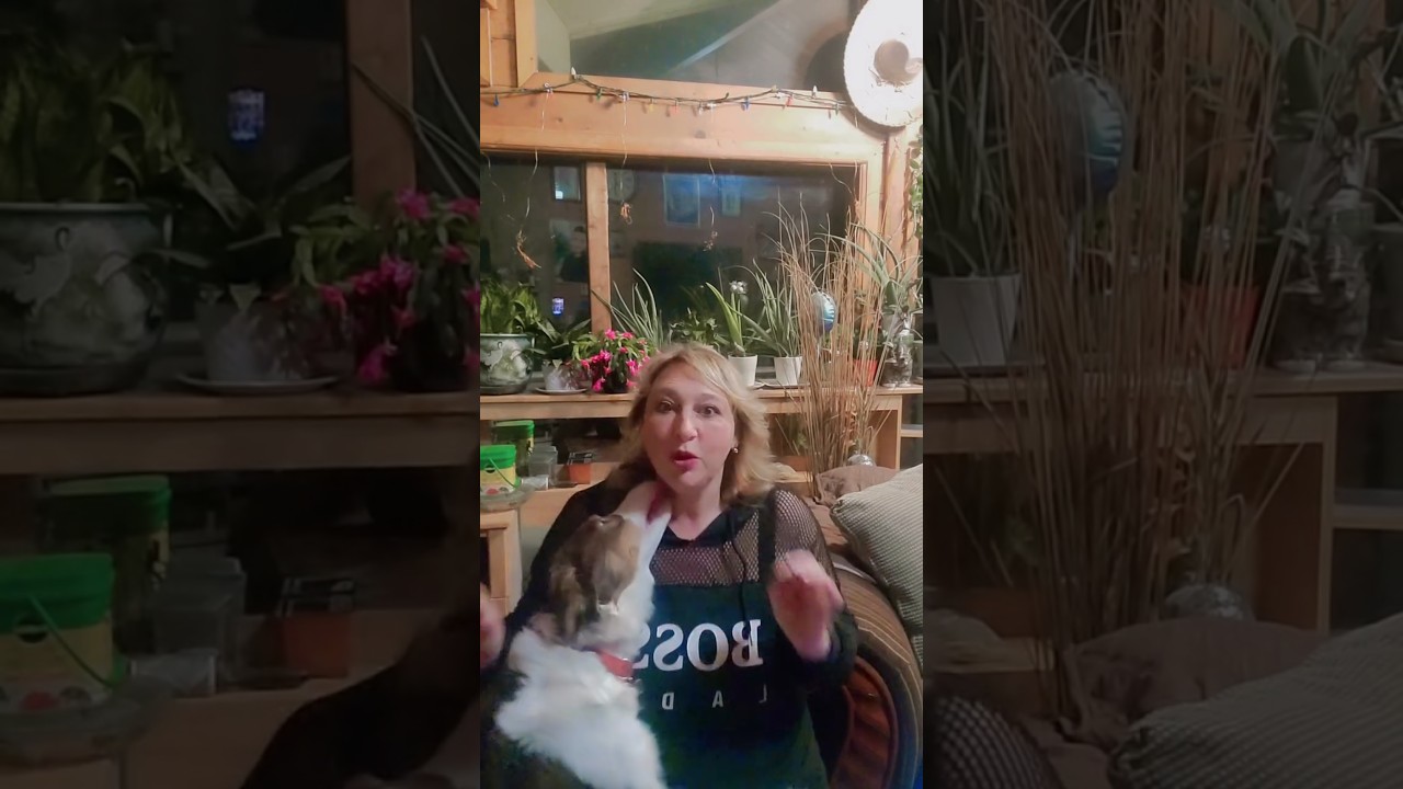 современная Бабка #shorts