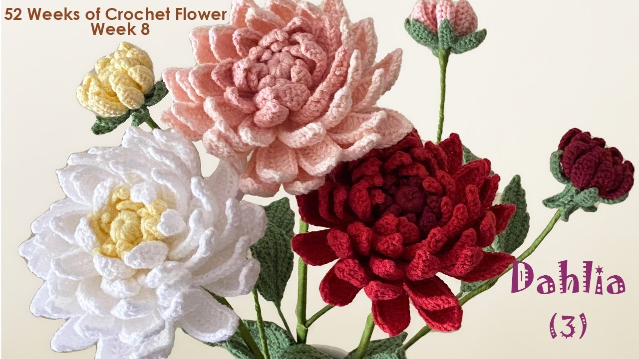 Dahlia (3)-- Flower of Week 8