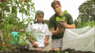The Edible Academy