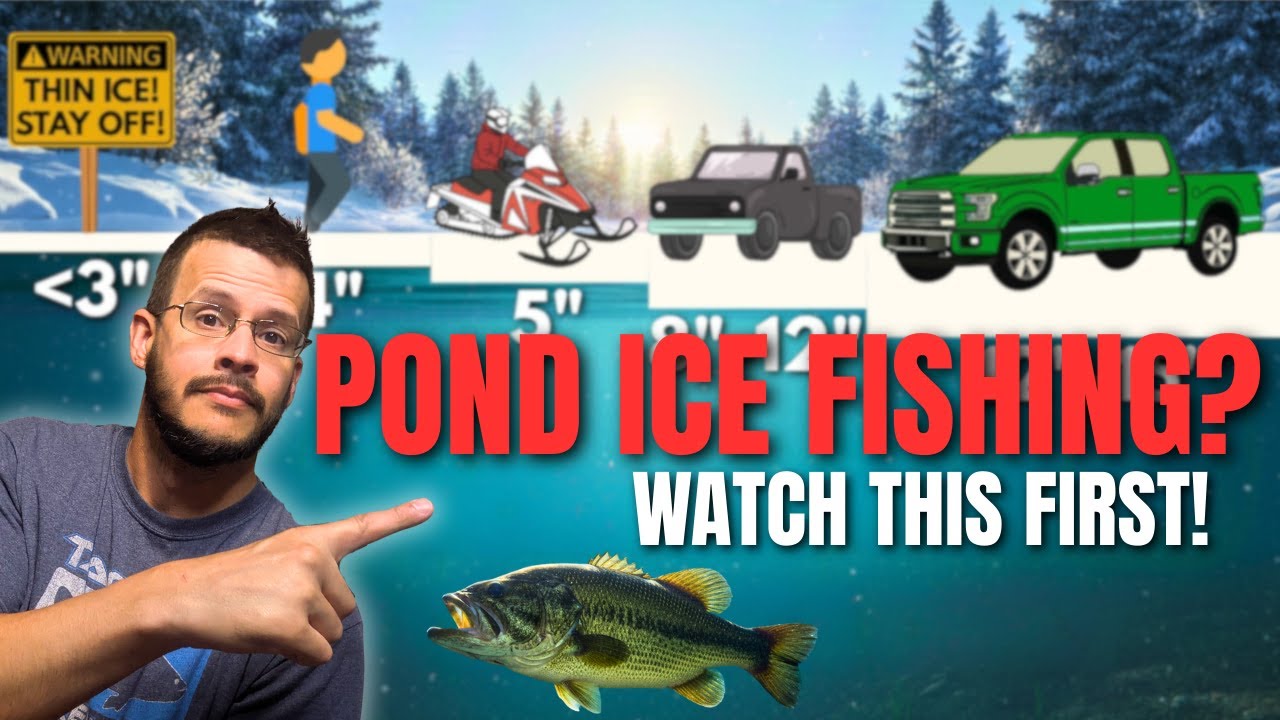 Подлёдная рыбалка на окуня в прудах — что нужно знать в первую очередь