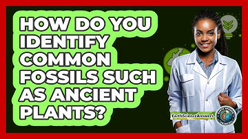 How Do You Identify Common Fossils Such As Ancient Plants? - Earth Science Answers
