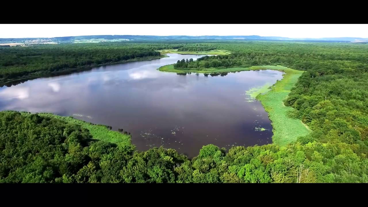 Lorraine Parc naturel regional from above - drone video - Visit Lorraine - EN