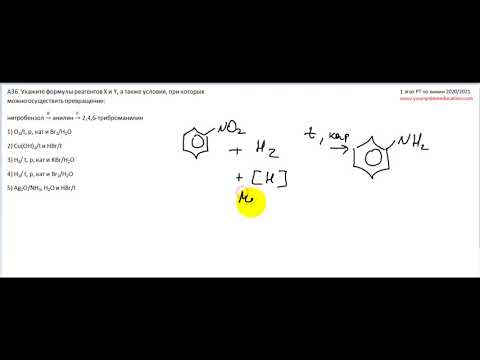 А36 РТ 20-21 этап 1. Азотсодержащие органические вещества. Тесты по химии