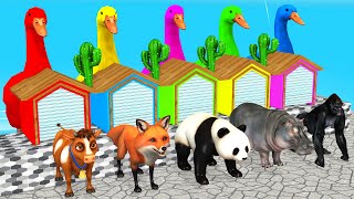 Duck Cartoon vs Gorilla, Paint & Animals Hippo, COW, Elephant, Transformed into Wild Animals #3