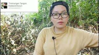 Tangon i Kudingking om sunsulit | Tangon do gulu gulu