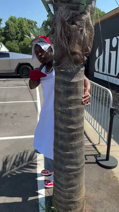 Dababy Live📺 Day Party in Charlotte #dababy #wizkhalifa #hiphop #fyp #viral #shorts #trending #rap