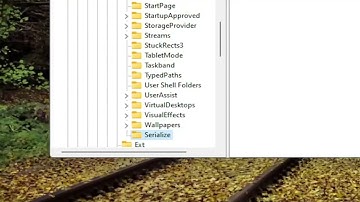Disable Startup Delay Using StartupDelayInMSec Registry Key In Windows 11/10 [Solution]