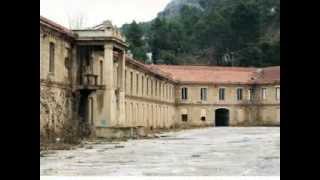 Batallón cazadores de montaña Estella XXI Navarra)