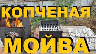 КОПЧЕНАЯ МОЙВА НА ОТКРЫТОМ ОГНЕ. РЕЦЕПТЫ СЮФ