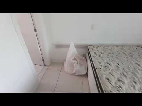 Vídeo