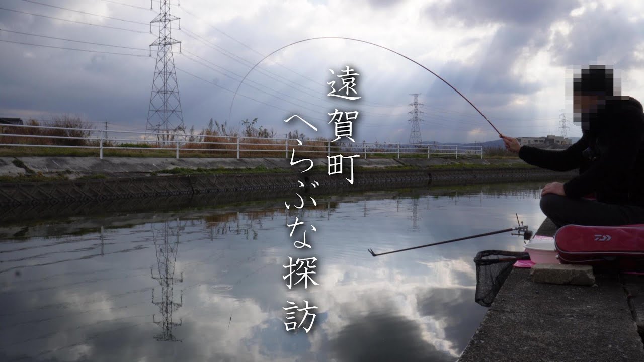 R6.1.11.福岡県遠賀町の用水路でへらぶな釣り Crucian fishing is