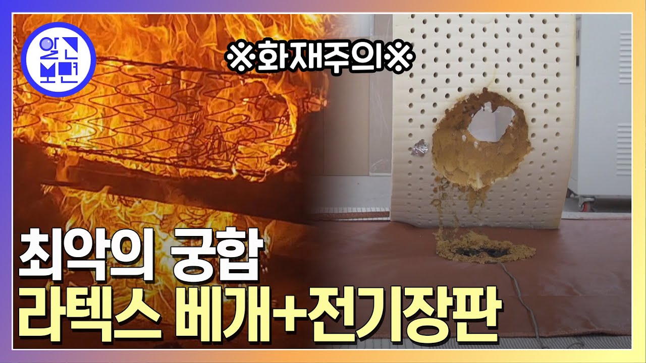 전기장판과 함께 타버린 라텍스 베개! 알고 보니 자연발화 물질?