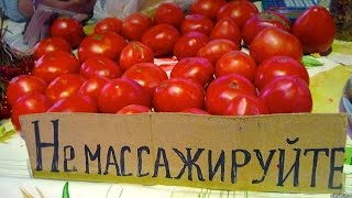 Салат ОРГАЗМ, пиво, копченая мойва и гламурная тетка Глафира Абрамовна (рецепт, пародия) Салат ОРГАЗМ, пиво, копченая мойва и гламурная тетка Глафира Абрамовна (рецепт, пародия)