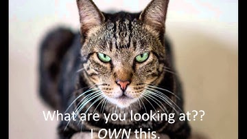 APA Part I--Introduction to APA Style