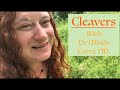 Cleavers (Galium aparine) - Wildcrafting and Processing