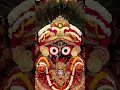Jai jagannath 🙏❤️🙏. ##Hay bandhu bidaya##statussong ##viralvideo ####