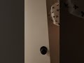 Video 1 From Concerning Unit 305 And 301 July 21 2025 Video 1 From Concerning Unit 305 And 301 July 21 2025