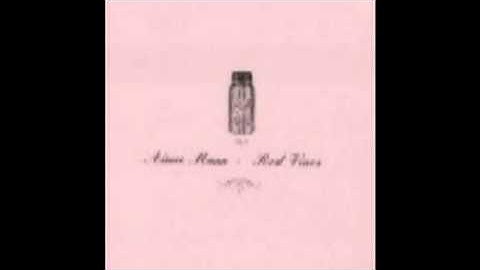 AIMEE MANN - Build that Wall [from the 1999 (Holland) "Red Vines" maxi-single] [audio]