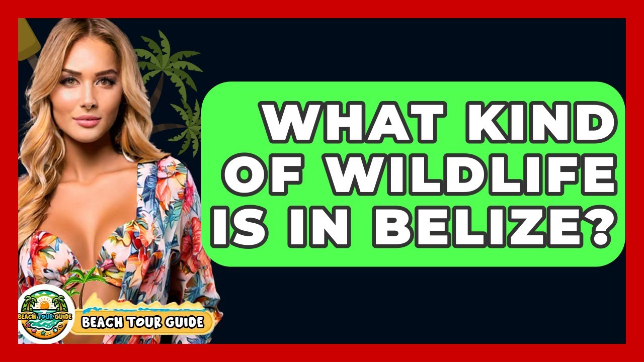 What Kind Of Wildlife Is In Belize? - Beach Tour Guide