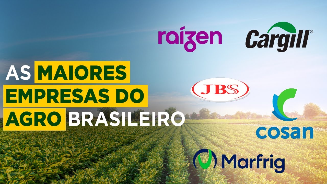 TOP 5 EMPRESAS DO AGRO NO BRASIL YouTube