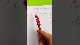 Classical Pathway- Complement System