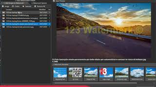 How to batch Watermark photos (for free) with 123Watermark Software screenshot 5