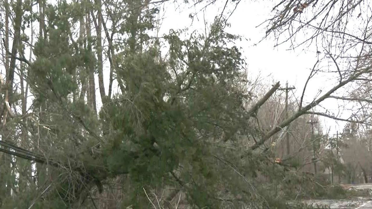 Southwestern New Brunswick one of the hardest hit by storm