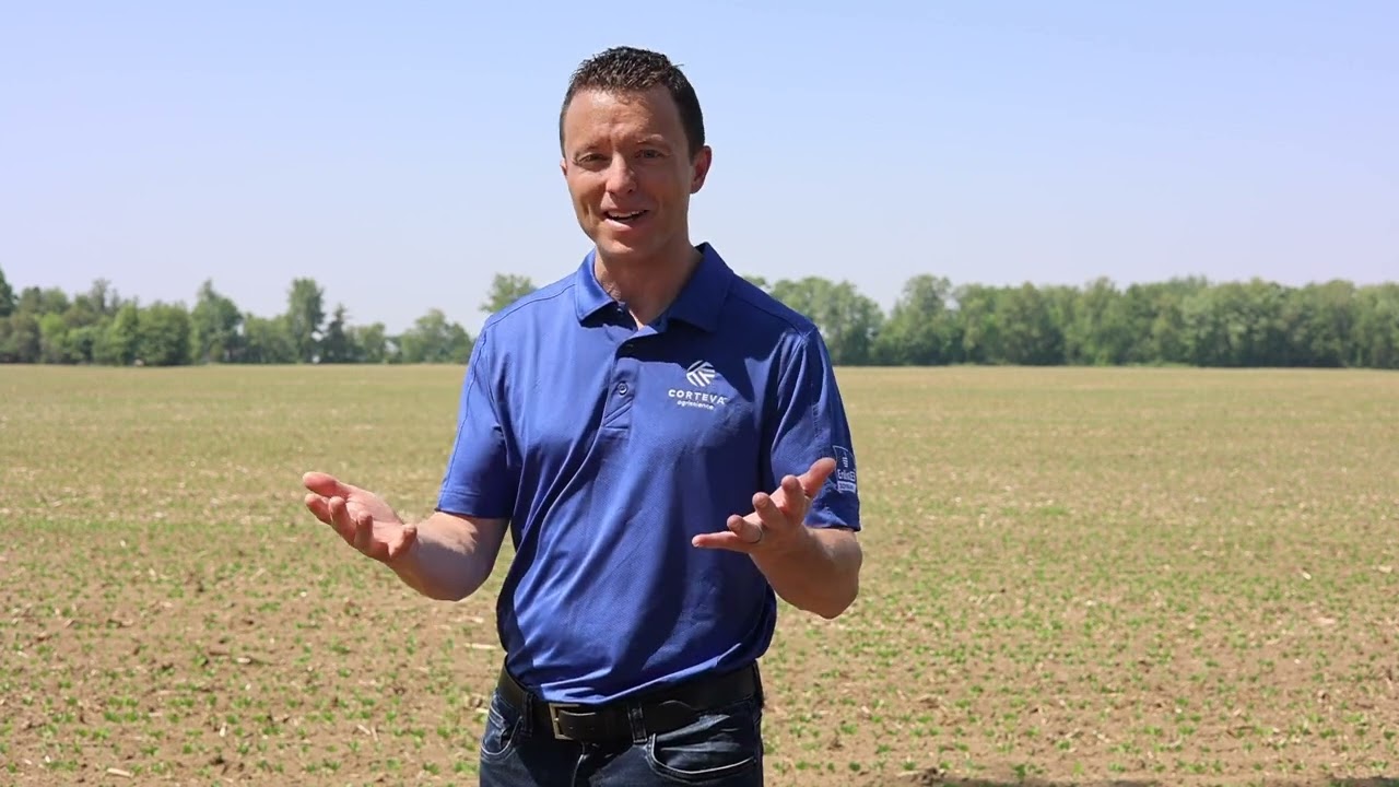 Importance of knowing your soybean system