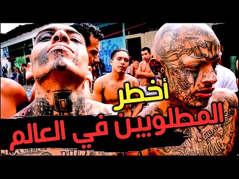 اخطر المجرمين في العالم 2020 من بينهم ? إمرأة نتفليكس