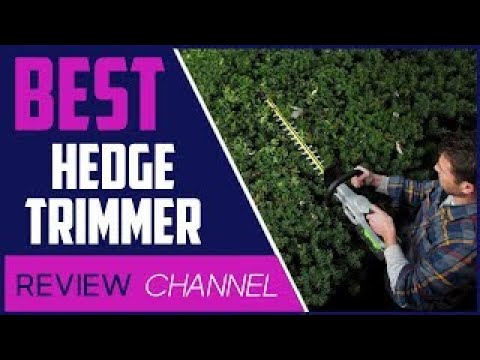 Top 5 Best Cordless Hedge Trimmers for 2024 | Powerful & Reliable Picks ...