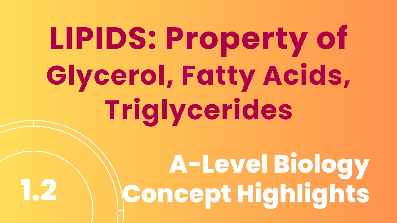 1.204 Свойства глицерина, жирной кислоты, триглицерида #биомолекулы #липиды