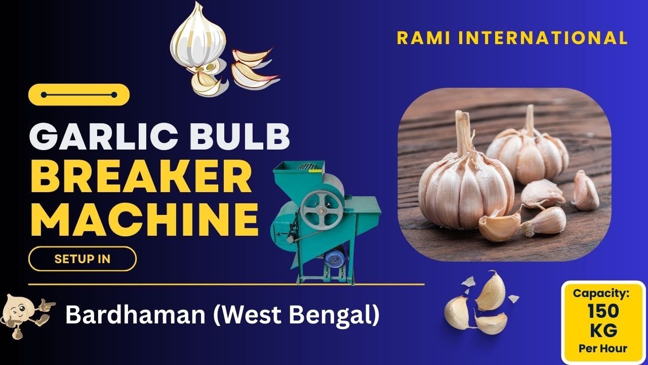 Garlic Bulb Breaker Machine In Bardhaman ( West Bengal ) 🧄 150KG Garlic Clove Separator Machine🧄