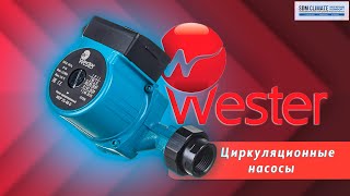 Wester - циркуляционные насосы российского производства