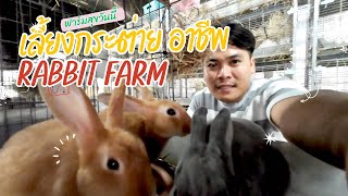 ฟาร์มสุขวันนี้ | ให้อาหารกระต่าย เลี้ยงกระต่ายอาชีพ