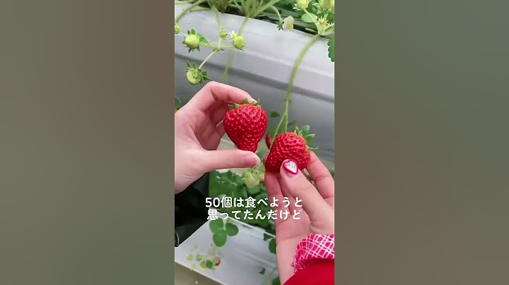 吉祥寺でイチゴ狩り🍓💕