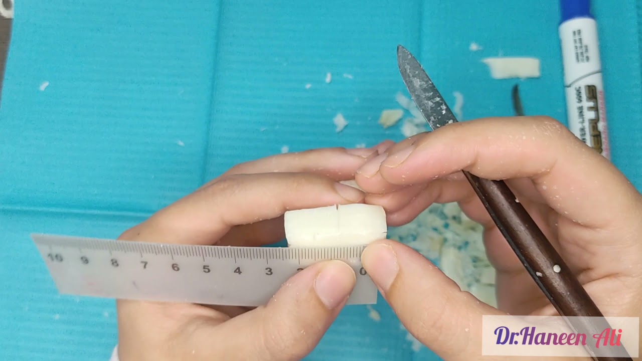 maxillary first premolar carving نحت الضاحك العلوي مع كافة تفاصيل السطح الطاحن دون تسريع الخطوات