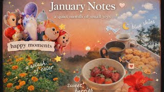 January notes — soft skies & slow days ☁️✨ @littlenotesoflife #MyFirstVlog#CalmVibes #QuietMoments screenshot 2